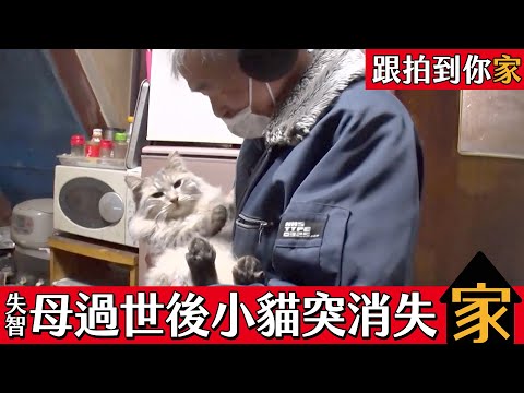 跟拍到你家