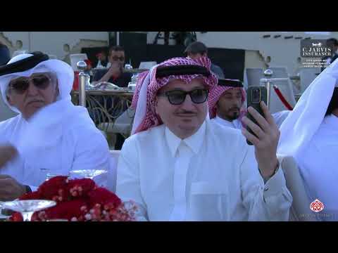 N 12 TARAF AL BASHA   12th Qatar International Arabian Peninsula Horse Show 2023   Yearling Fillies