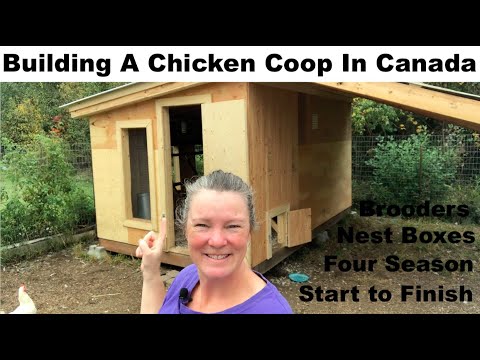 Building a chicken coop for all seasons start to finish- Ontario, Canada