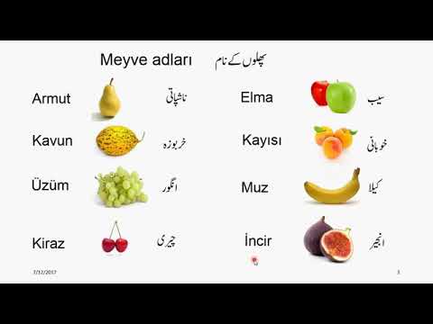Learn Turkish from Urdu Lesson 11   Meyve adları  360P