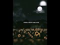 Murjhaayi Si Shaakh Pe Dil Ki Whatsapp Status ️ Onlyforstatus1543