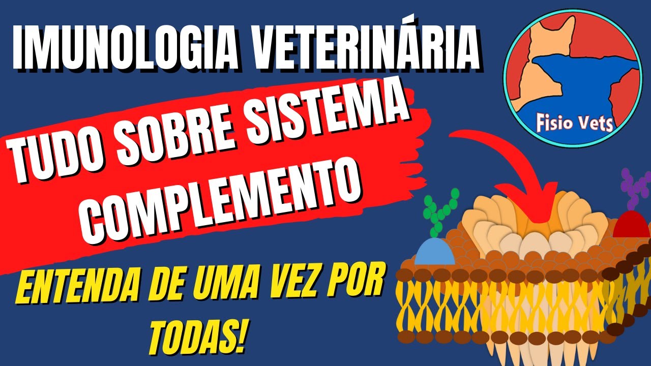 imunologia veterinária - Sistema complemento: via clássica, via das lectinas e via alternativa