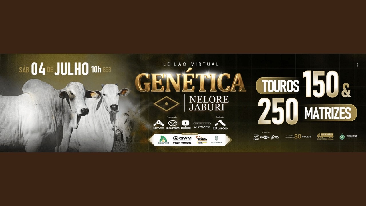 LEILÃO VIRTUAL GENÉTICA NELORE JABURI (PARTE 2) | 04/07/2026 – 17H