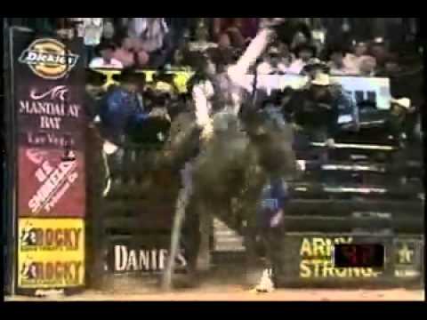 PBR rider Justin McBride clinches the 2007 PBR World Title on the back of the bull Camo  1