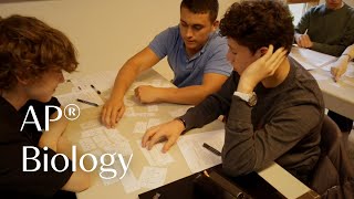Students learn macromolecules through sorting game