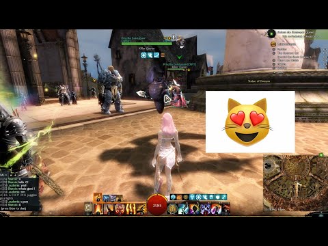 GW2 | Man I missed this FASHION WAR in DR....missed it a lot...