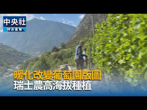 youtube影片