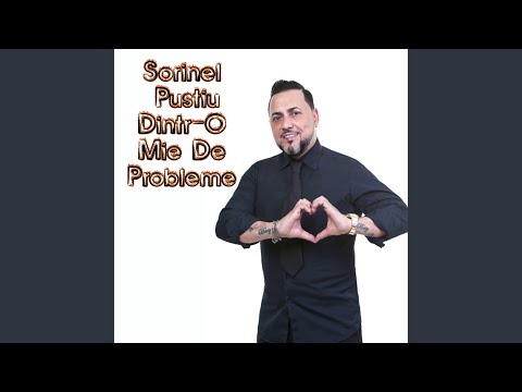 Dintr-O Mie De Probleme