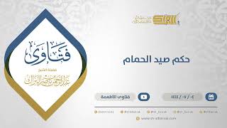 حكم صيد الحمام - الشيخ عبدالرحمن البراك  (11688) image