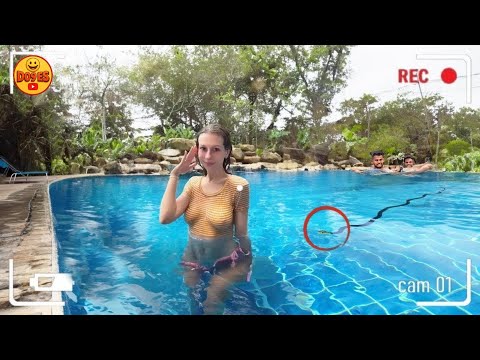 ¡TOTALES IDIOTAS EN EL TRABAJO #104 | SI TE RÍES PIERDES NIVEL DIOS 🤣 | VIDEOS DE RISA 2026 😂