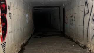 Underground Dixon, Illinois - Flaming Lips - A Day in the Life - featuring Miley Cyrus