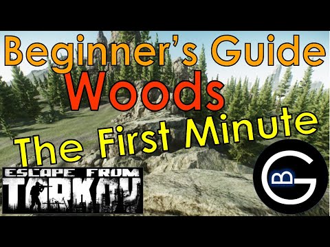 Tarkov Woods Guide: The First Minute || Beginner's Series Episode 11