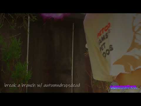 NAVYXOWER X AUTUMNDROPSDEAD - break a branch