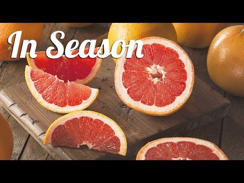 download lagu mp3 mp4 Grapefruit Sauce, download lagu Grapefruit Sauce gratis, unduh video klip Grapefruit Sauce