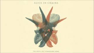 Alice In Chains - Pretty Done (HD)