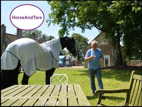 Renovating The Old Chauffeurs Cottage