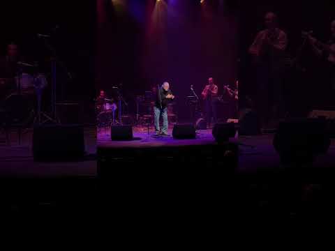 Mister Con Macana- Roy Brown en Mayagüez 2024