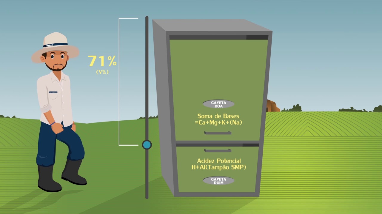 O solo é um armário! Conceitos de CTC, V%, pH, Disponibilidade de Nutrientes, Acidez e Calagem.