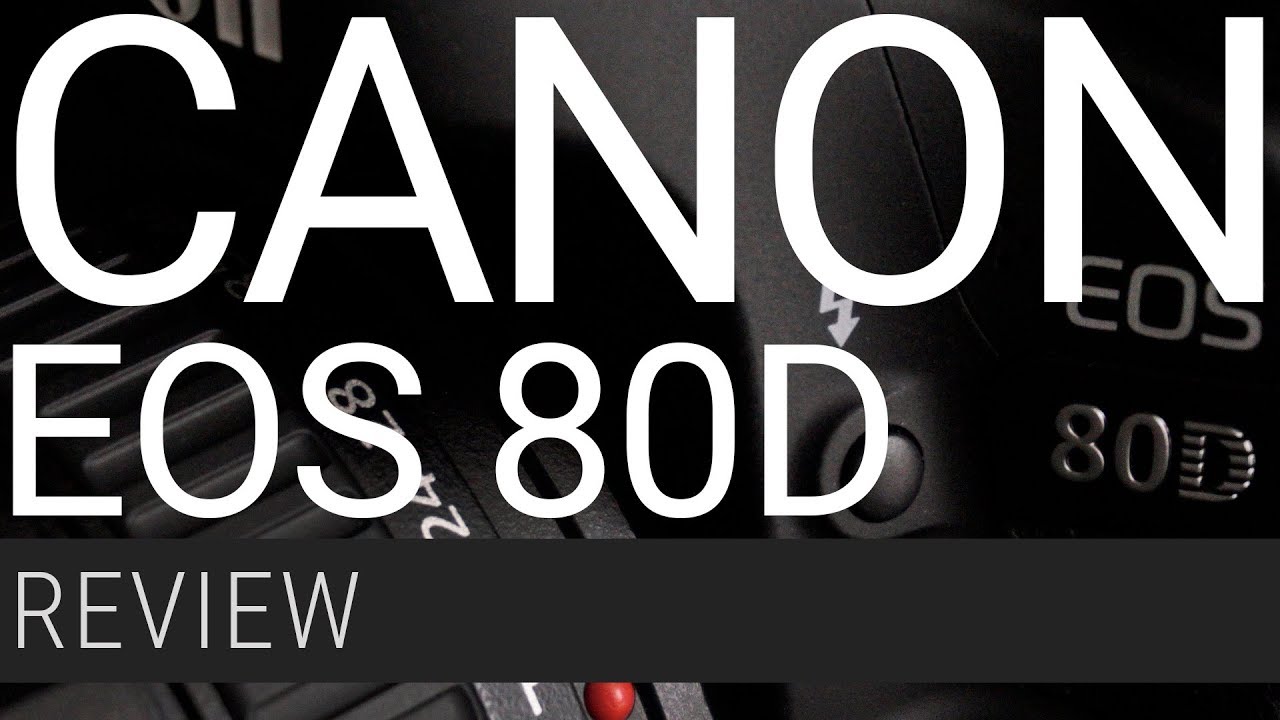 Review Canon EOS 80D - foco, qualidade, ISO, ruído etc.