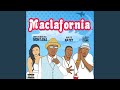Stay Pimpin Maclafornia