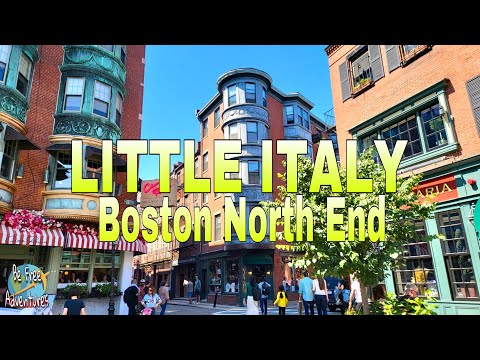 BFree & Adventures and Travel Universo