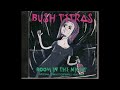 13-Bush Tetras -Its So Weird