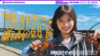 [乃木] 配信中 小彩去早市