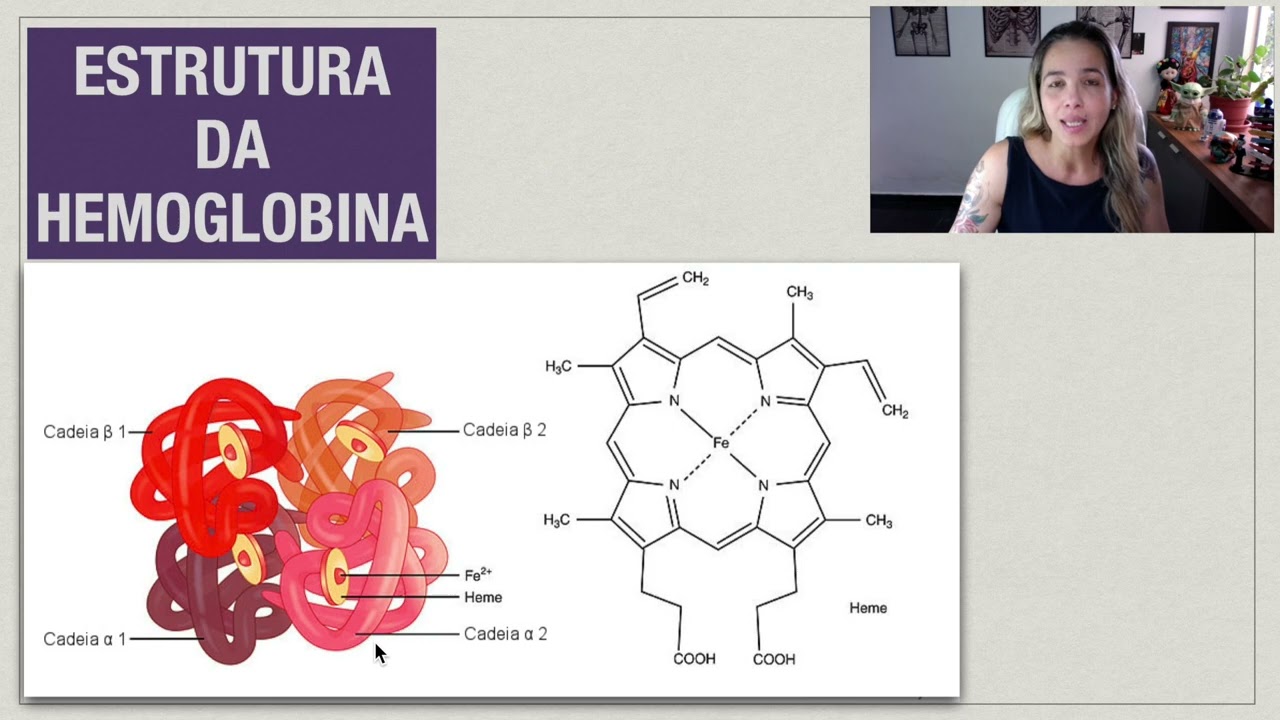 Transporte dos Gases: Oxigênio