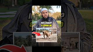 Download lagu 🤯🐫❌️'Jangan Berdoa Seperti UNTA!' Lutut atau Tangan Duluan? #celanapendek mp3 Download lagu 🤯🐫❌️'Jangan Berdoa Seperti UNTA!' Lutut atau Tangan Duluan? #celanapendek mp3