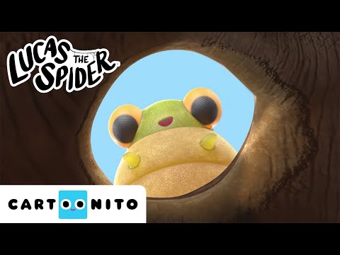 Lucas Is Looking For a New Home for Jump Jump | Lucas the Spider | Cartoons for Kids | @cartoonito