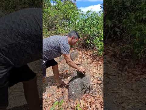 #sheik ostentando em Uruburetama ceara #humor