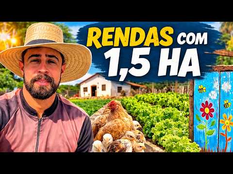 5 FONTES DE RENDA PARA SÍTIOS PEQUENOS