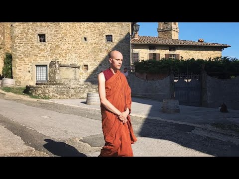 Satipatthana Day-Long: Mindfulness of Feelings