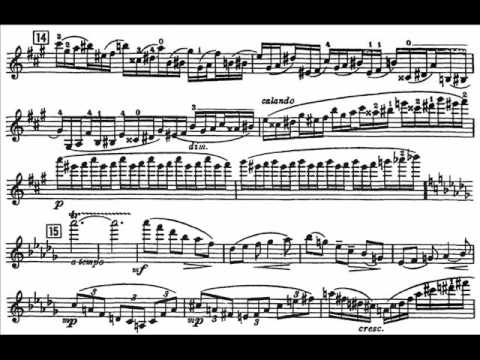 Glazunov, Alexander violin concerto mvt1(begin) Moderato