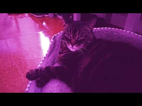 GLASS CANDY "BEATIFIC" MUSIC VIDEO