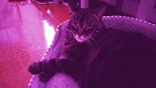 GLASS CANDY &quot;BEATIFIC&quot; MUSIC VIDEO