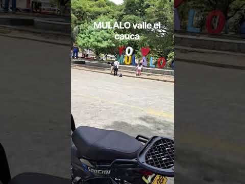 MULALO VALLE#cali#valle#vijes#mulalo#colombia#shorts#valledelcauca#ava#aereo#terremotocolombia#🙏🫂