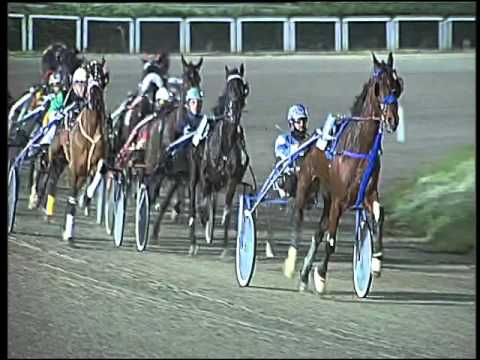 Trotto 12/01/2016 - 7° corsa