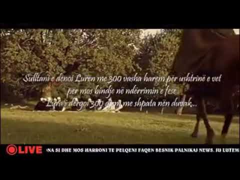 ARIF VLADI - Mjeshter i Madh