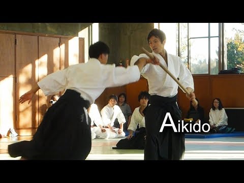 Dynamic Aikido Demonstration 2018 - Shirakawa Ryuji shihan