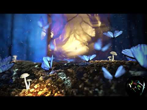 MDMax - You Experience Your Creation (World Bass Music)