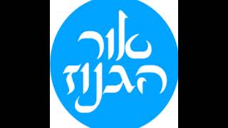 שידור חי של אור הגנוז (הרב ברוך זרובבל) - התמונה מוצגת ישירות מתוך אתר האינטרנט יוטיוב. זכויות היוצרים בתמונה שייכות ליוצרה. קישור קרדיט למקור התוכן נמצא בתוך דף הסרטון