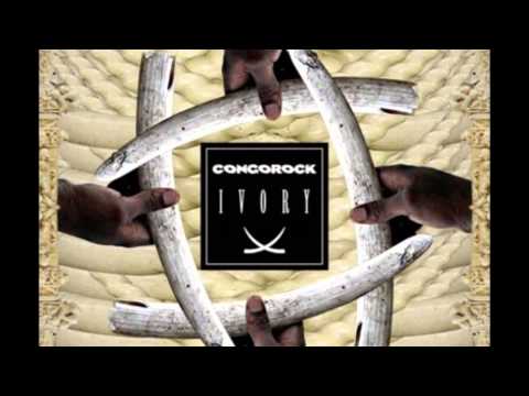 Avicii vs Congorock - Ivory Levels (Groomsman Mashup)