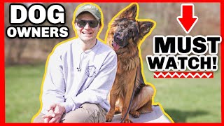 THE BIGGEST OVERLOOKED DOG TRAINING COMMAND!