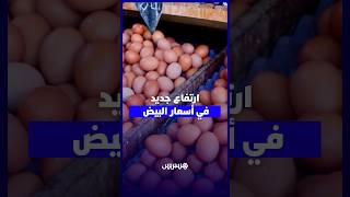 بعد فترة انخفاض.. أسعار البيض تقفز مجدداً وتجبر المستهلكين على تقليص الاستهلاك thumbnail