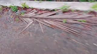 Download lagu LUMPUR DAN BERLIAN - IPANK FULL ALBUM TERBAIK (LIRIK) PERCERAIAN LARA - LAGU POP MELAYU TERBARU 2025 mp3 Download lagu LUMPUR DAN BERLIAN - IPANK FULL ALBUM TERBAIK (LIRIK) PERCERAIAN LARA - LAGU POP MELAYU TERBARU 2025 mp3