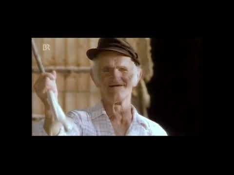 das Ei ist eine geschissene Gottesgabe