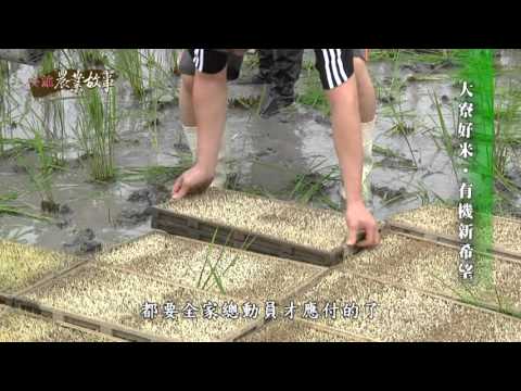 高雄農業故事館 - 稻米 國語