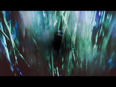 Marsbeing - Dew (Nafis Remix) [Silk Music]
