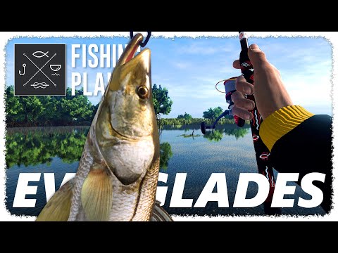 I Caught MASSIVE Fish in the EVERGLADES (ᵗʰᵉ ᵇᵃˢˢ ᵃʳᵉ ʰᵘᵍᵉ) | FISHING PLANET